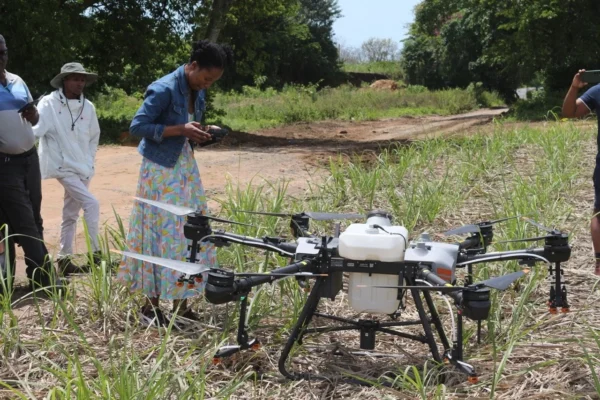 Emerging Career Pathways and Talent Trends in Africa
